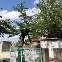あかね公園 - 投稿画像1