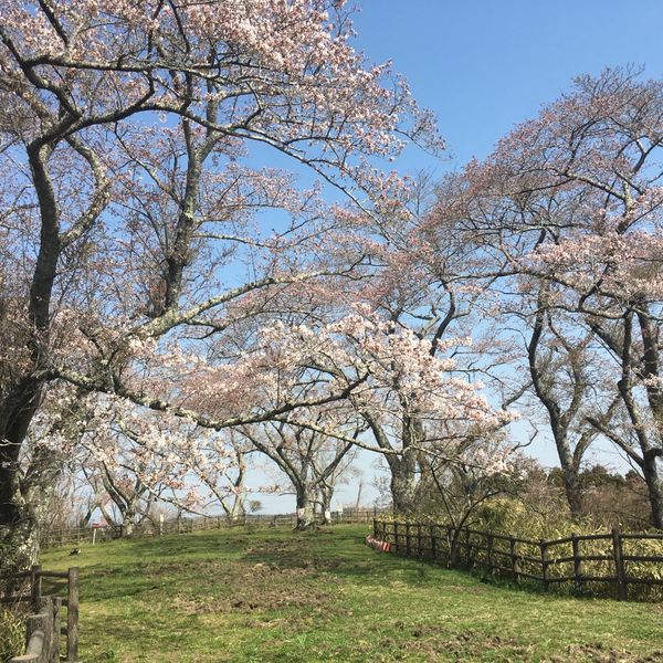 高森山公園・岩切城跡 - おすすめ画像