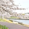 隅田川沿い（北区） - トップ画像