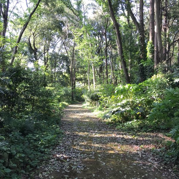 古利根公園 - トップ画像