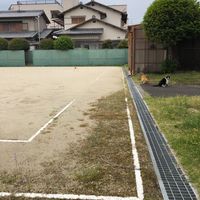 北開田公園 - 投稿画像3