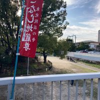 萩の寺公園 - 投稿画像1