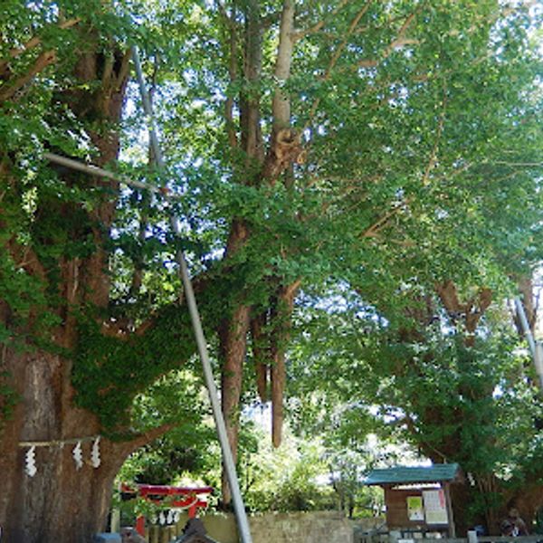 海南神社 - おすすめ画像