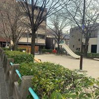 高瀬川正面(菊浜) - 投稿画像2