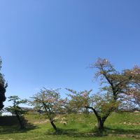 村山 - 投稿画像3