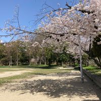 南吹田公園 - 投稿画像1