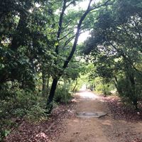 広田山公園 - 投稿画像3