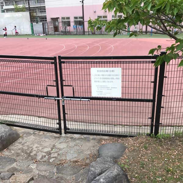 汐入公園 北多目的広場 - トップ画像
