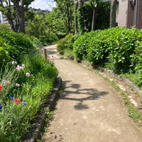ルネ千里丘公園 - 投稿画像1