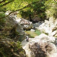 中津渓谷県立自然公園 - 投稿画像1