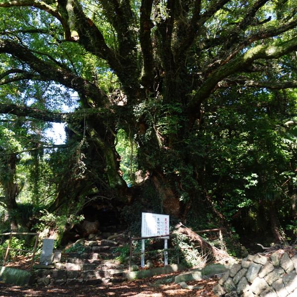 生樹の御門　いききのごもん - おすすめ画像