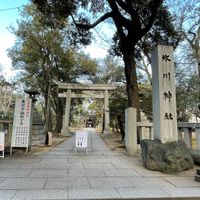 赤坂 氷川神社 - 投稿画像0