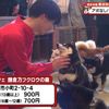 鎌倉乃豆柴カフェ/鎌倉乃フクロウの森 - トップ画像