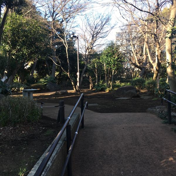 岡本いこいのもり緑地 - トップ画像