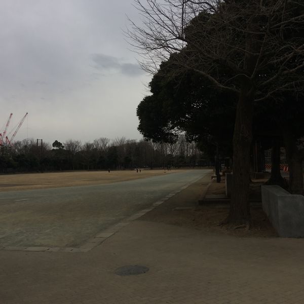 城北中央公園 競技場 - トップ画像