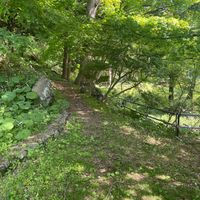 港北公園 - 投稿画像3