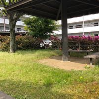 中畑第2児童遊園 - 投稿画像0