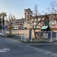 島崎公園 - 投稿画像0
