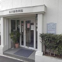 桜井動物病院 - 投稿画像0