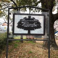 御代開公園 - 投稿画像2