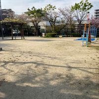 南松原公園 - 投稿画像1