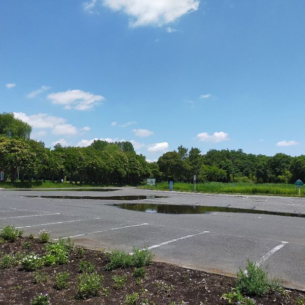 秋ヶ瀬公園 三ツ池グランド - トップ画像