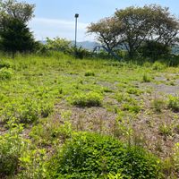 海岸町3丁目公園 - 投稿画像3