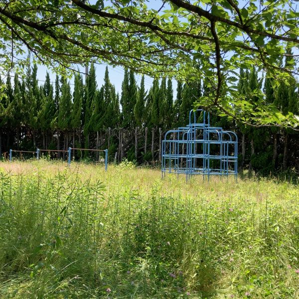 横井第9号街区公園 - おすすめ画像