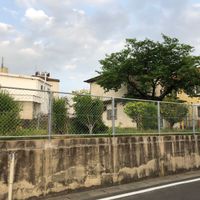 袋尻第１幼児公園 - 投稿画像0