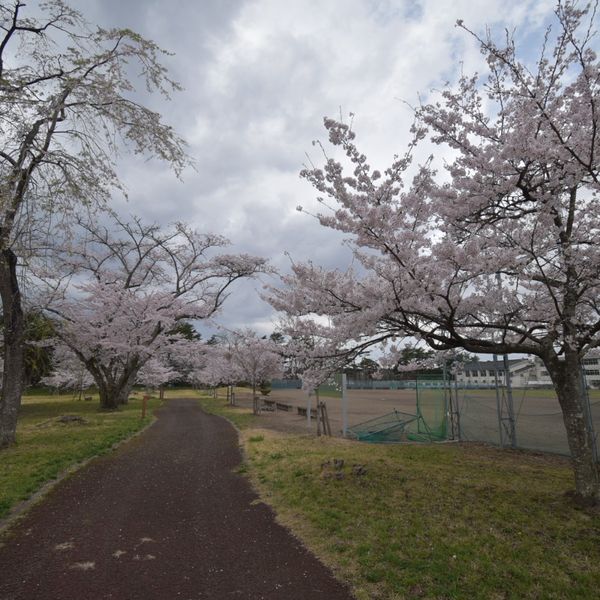 大衡中央公園 - おすすめ画像