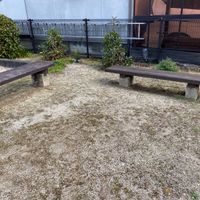 中鳥井 - 投稿画像2