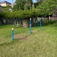 薬師寺荘園第1号児童公園 - 投稿画像2