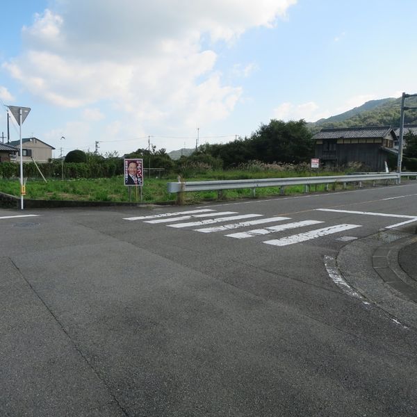 通学路途中の横断歩道【大野】 - おすすめ画像