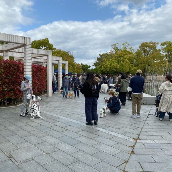 芦原公園 - トップ画像