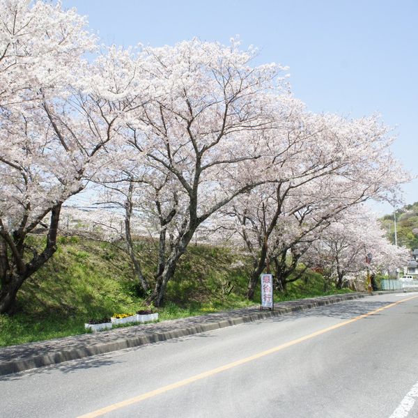 山中渓駅(JR) - トップ画像