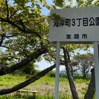 海岸町3丁目公園 - 投稿画像1
