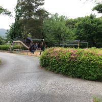 吉田山緑地 - 投稿画像2