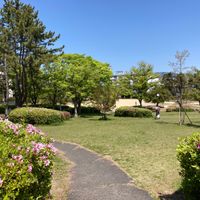 竹見公園 - 投稿画像1