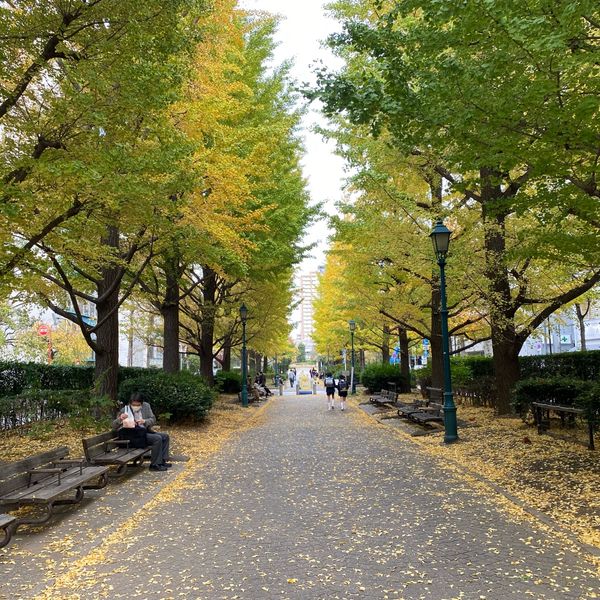 浜町公園 - おすすめ画像