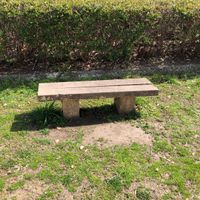 東港公園 - 投稿画像2