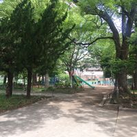 桐ヶ丘中央公園 - 投稿画像1