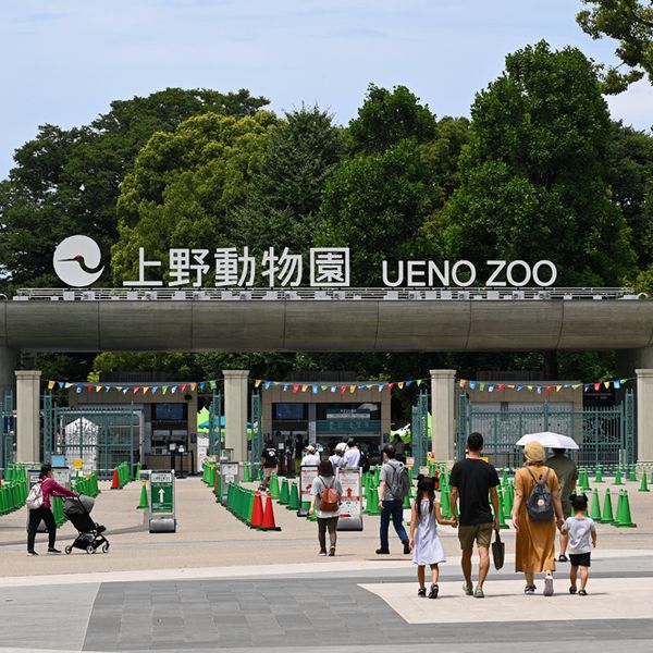 東京都恩賜上野動物園 - おすすめ画像