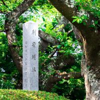 館山公園 - 投稿画像1