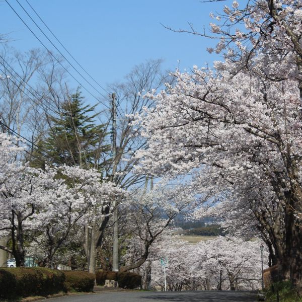 Atagosan Kōen - おすすめ画像