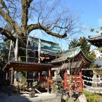 武信稲荷神社 - 投稿画像2