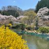 Sendai Akiu Onsen Tenshukaku Shizen Kōen - トップ画像