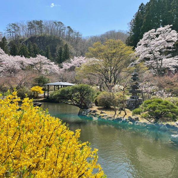 Sendai Akiu Onsen Tenshukaku Shizen Kōen - トップ画像