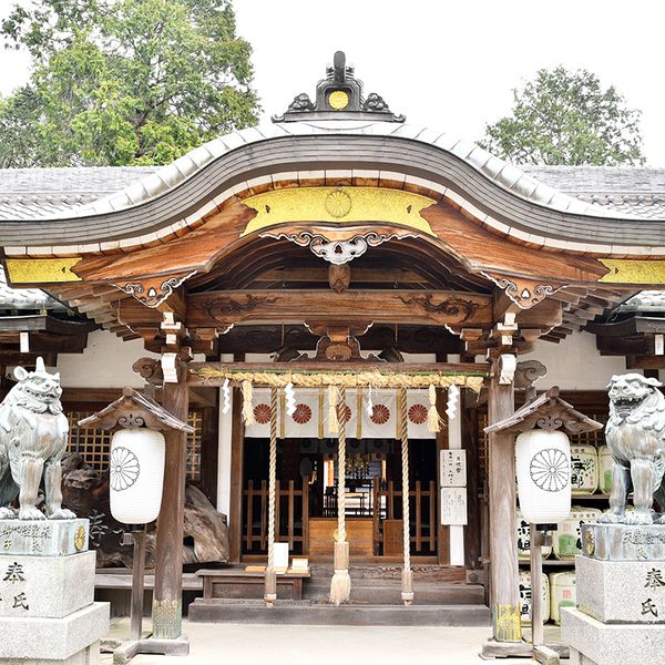 日根神社 - おすすめ画像
