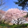 大木囲貝塚遺跡公園 - トップ画像