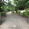 高根台さくら公園 - トップ画像